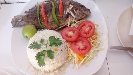 White rice and fish